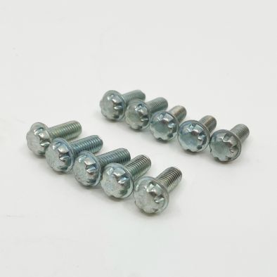HIF Tamperproof float lid screw set