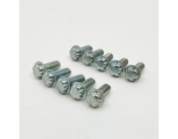 HIF Tamperproof float lid screw set