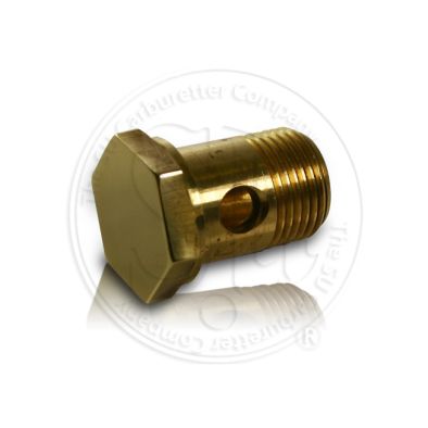 Polished Brass Banjo Bolt - 3/8" BSP thread