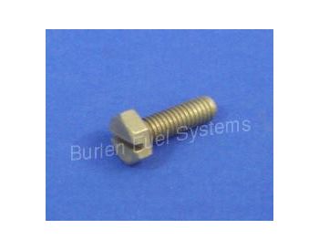 Screw