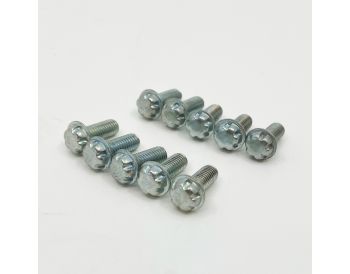 HIF Tamperproof float lid screw set
