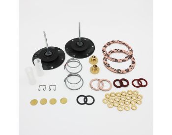 Electronic Dual HP Fuel Pump Repair Kit