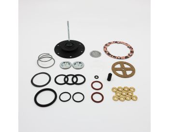 Electronic HP Fuel Pump Repair Kit - Positive Earth