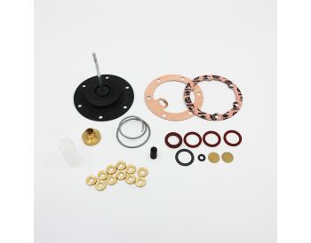 Electronic HP Fuel Pump Repair Kit - Positive Earth