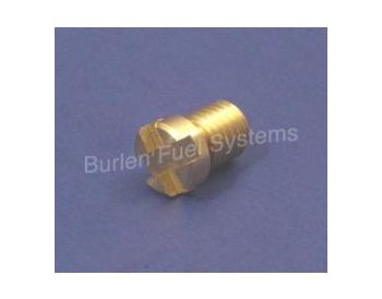 Brass Screw