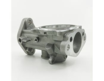 H4 Body
